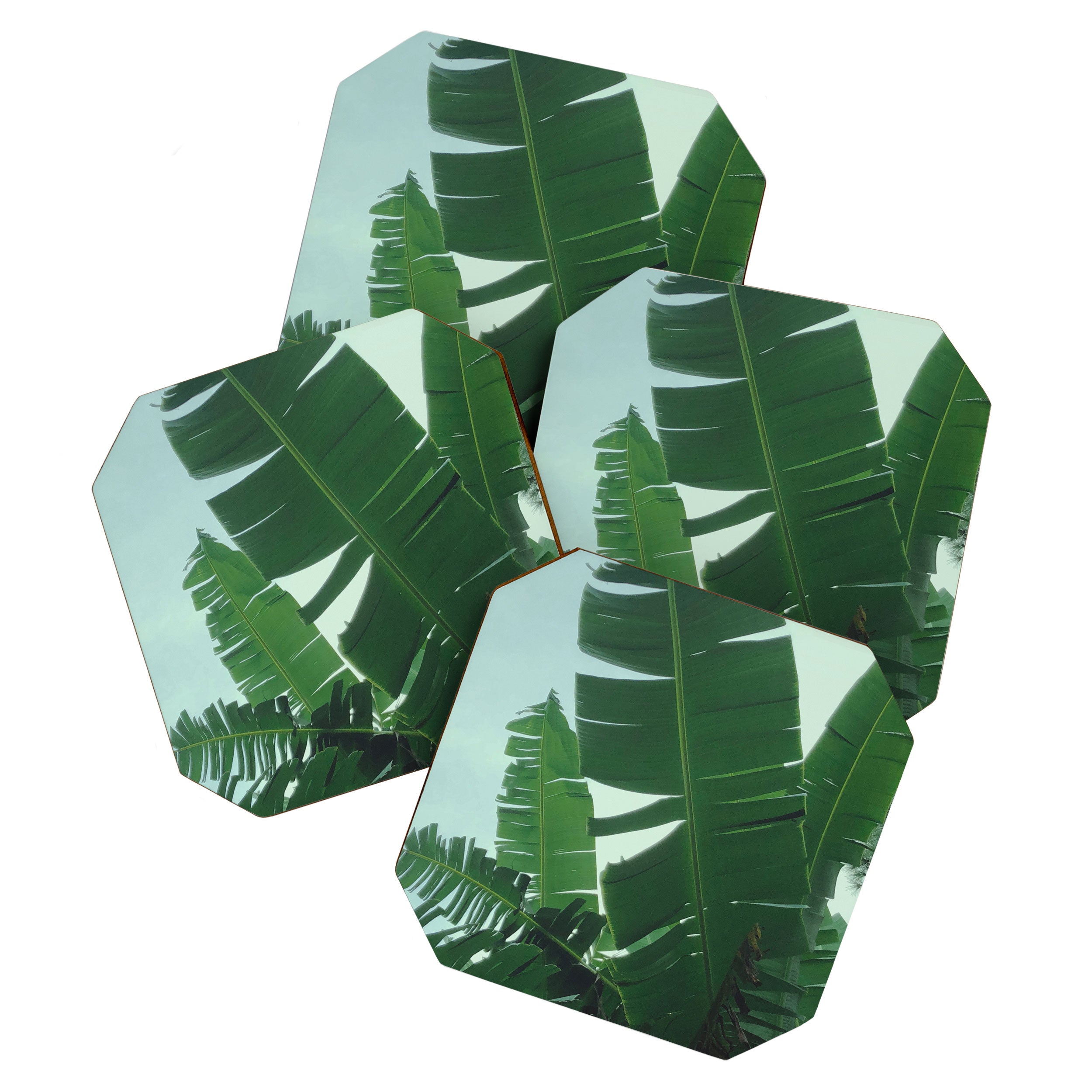 Tropical Evening Coaster Gallery Image 1