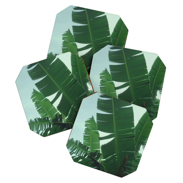 Tropical Evening Coaster Gallery Image 1