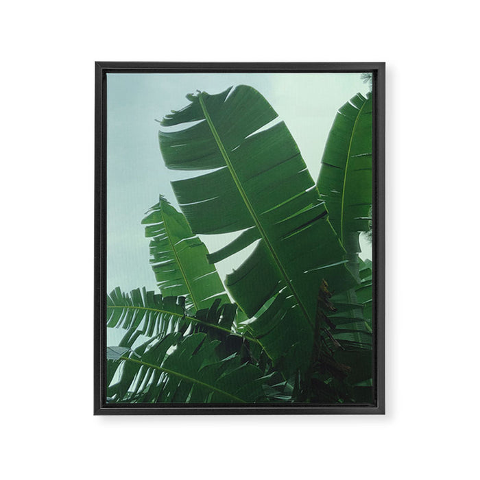 Tropical Evening Framed Canvas Print Gallery Image 1