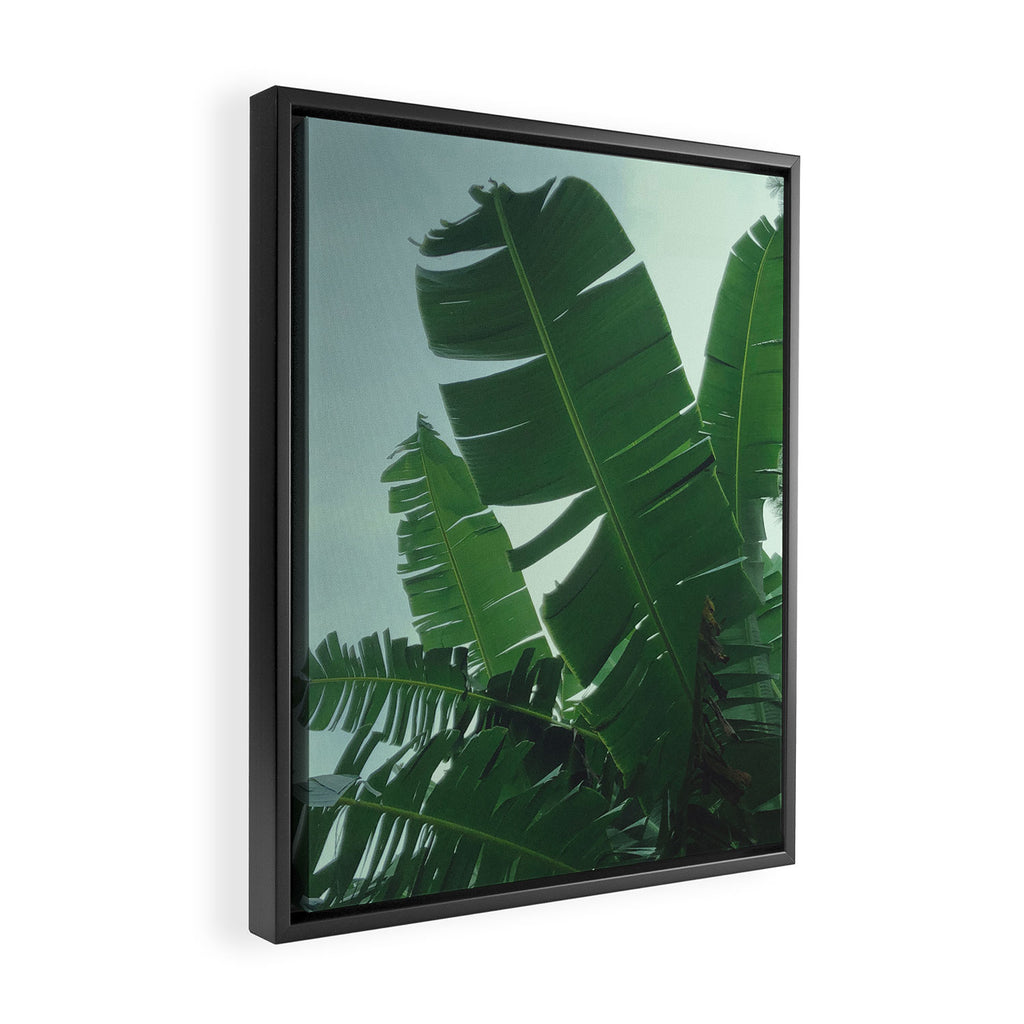 Tropical Evening Framed Canvas Print Gallery Image 2