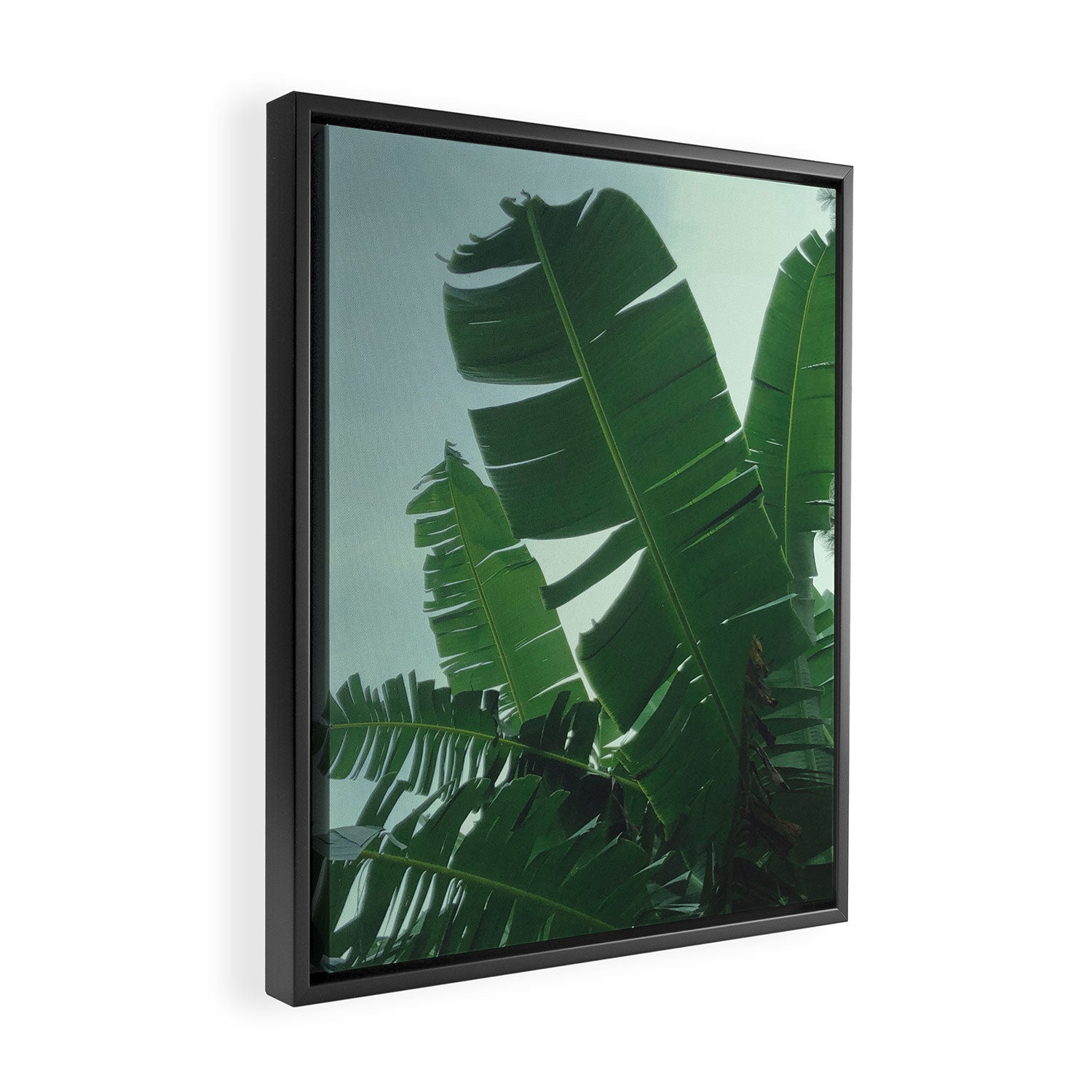 Tropical Evening Framed Canvas Print Gallery Image 2