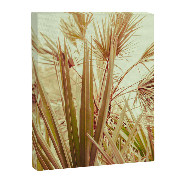 Tropical Morning Canvas Print Gallery Image 1