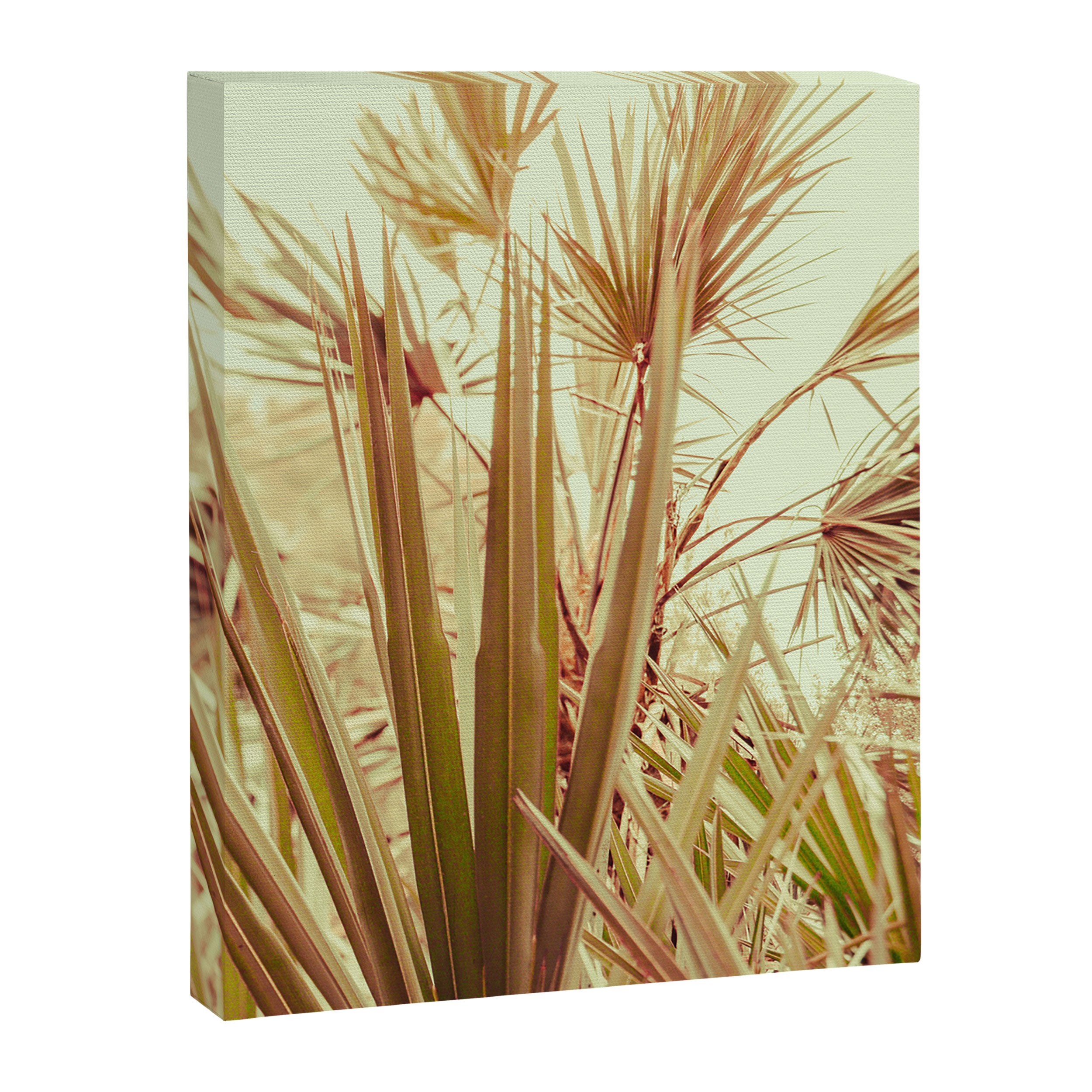 Tropical Morning Canvas Print Gallery Image 6