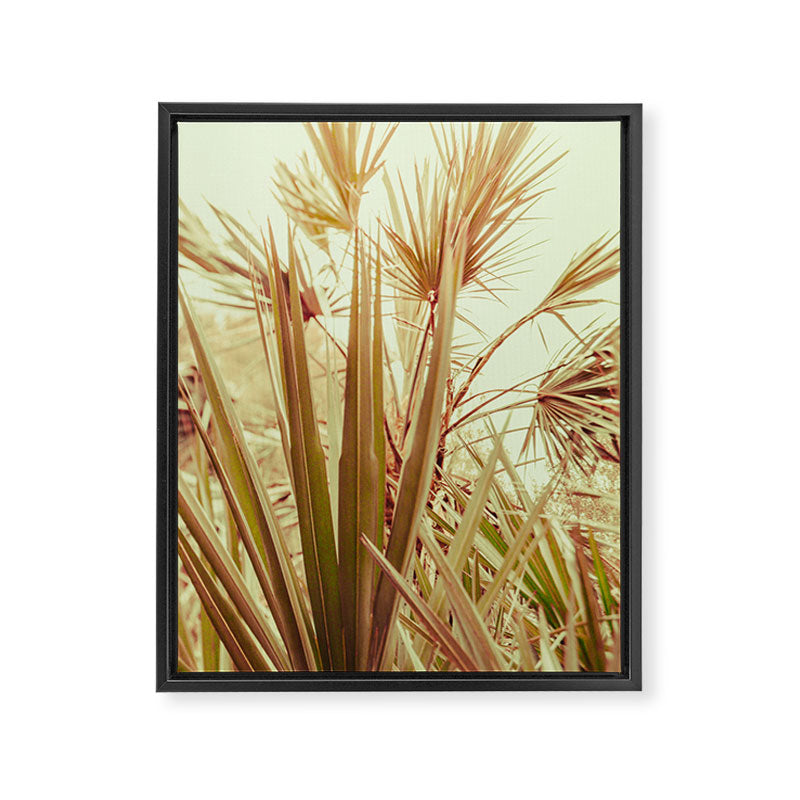 Tropical Morning Framed Canvas Print Gallery Image 6