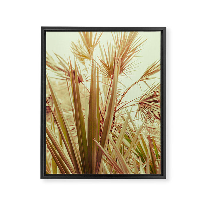 Tropical Morning Framed Canvas Print Gallery Image 1
