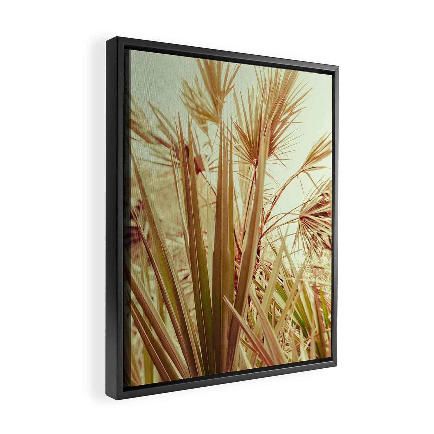 Tropical Morning Framed Canvas Print Gallery Image 2