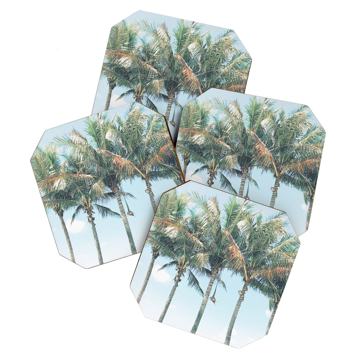 Tropical Palm Trees Coaster Gallery Image 1