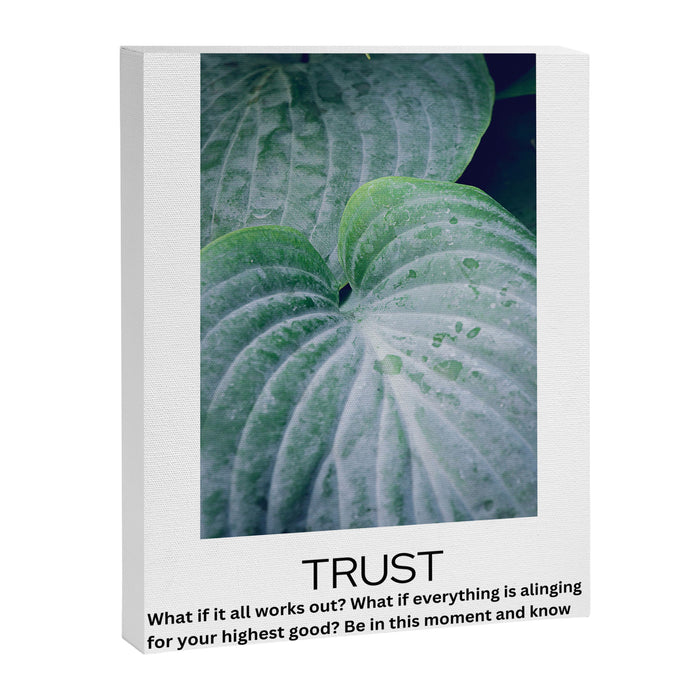 trust - inspirational motivational quote affirmation Canvas Print Gallery Image 1
