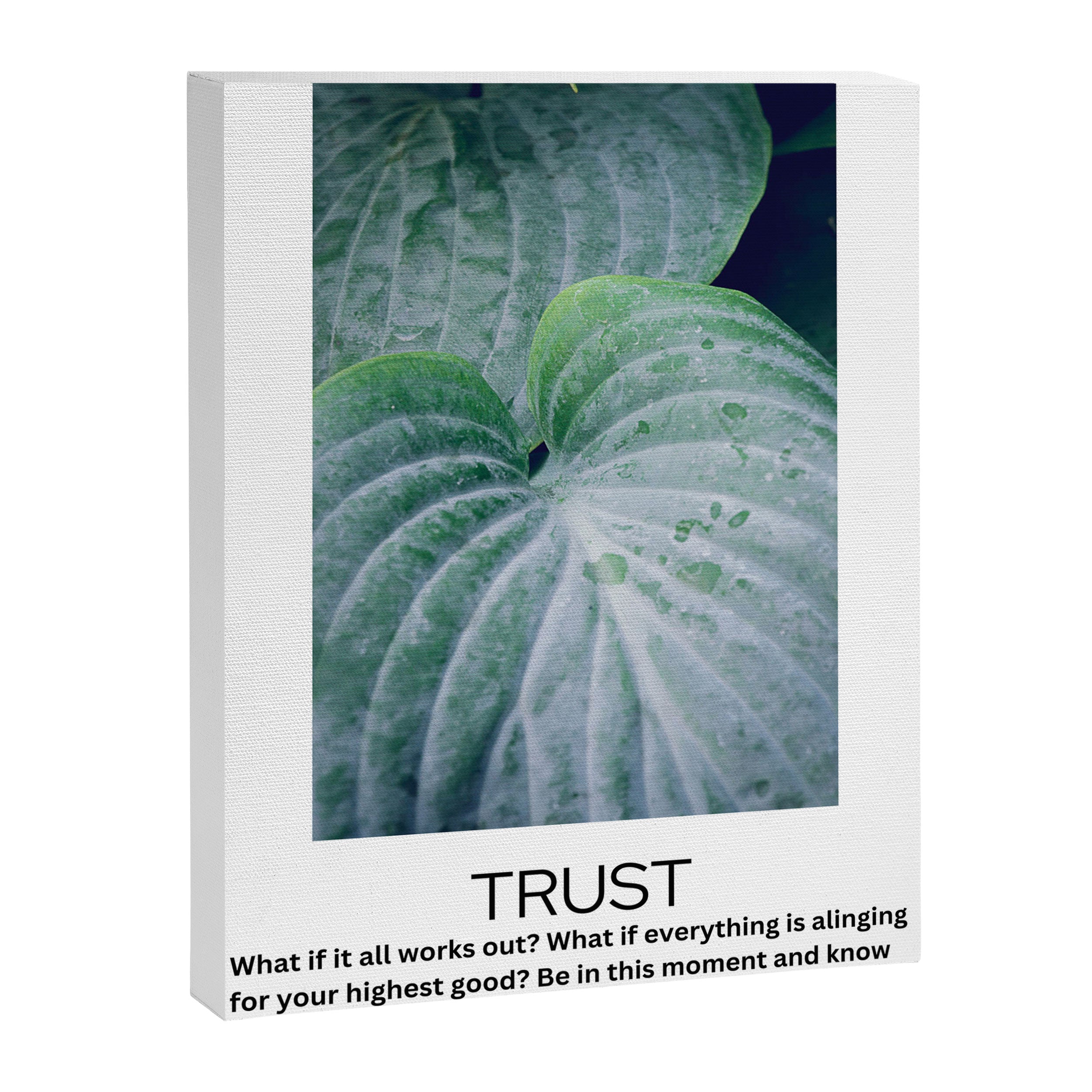 trust - inspirational motivational quote affirmation Canvas Print Gallery Image 6