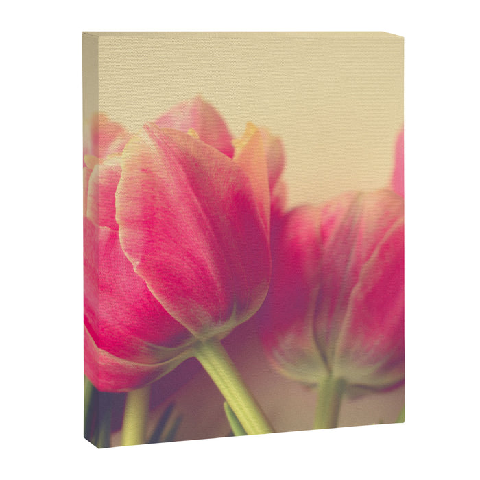 Tulip Canvas Print Gallery Image 1