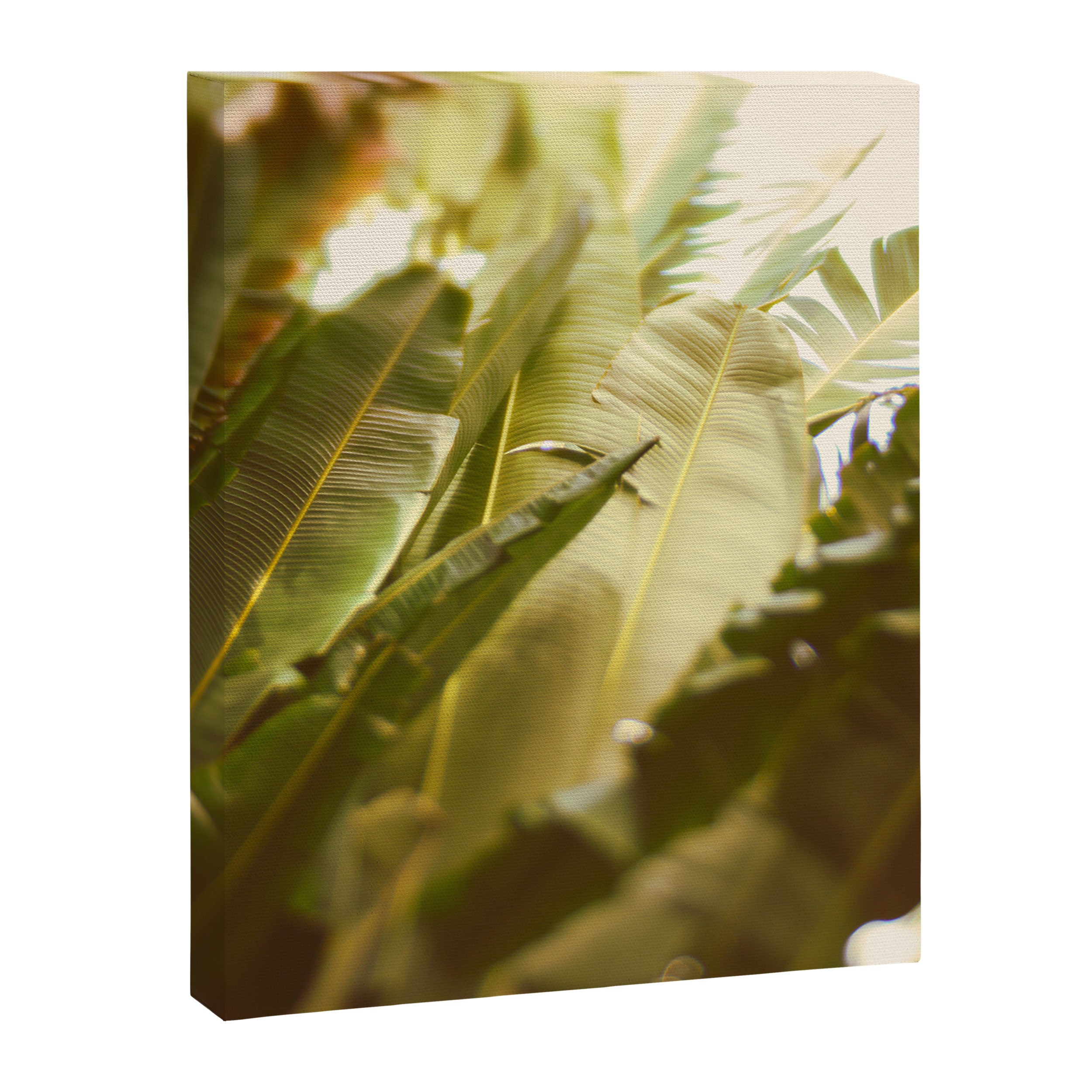 Uprising Canvas Print Gallery Image 6