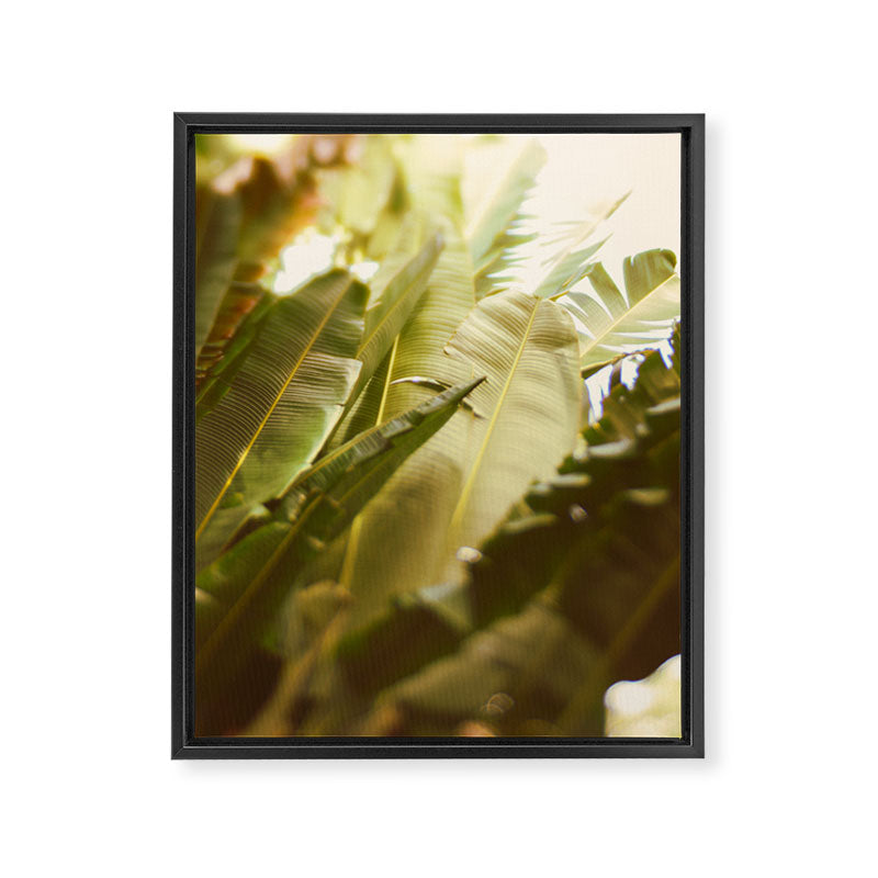 Uprising Framed Canvas Print Gallery Image 6