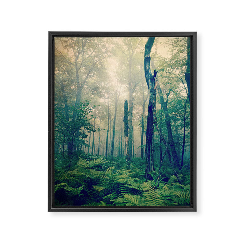 Walk to the Light Framed Canvas Print Gallery Image 8