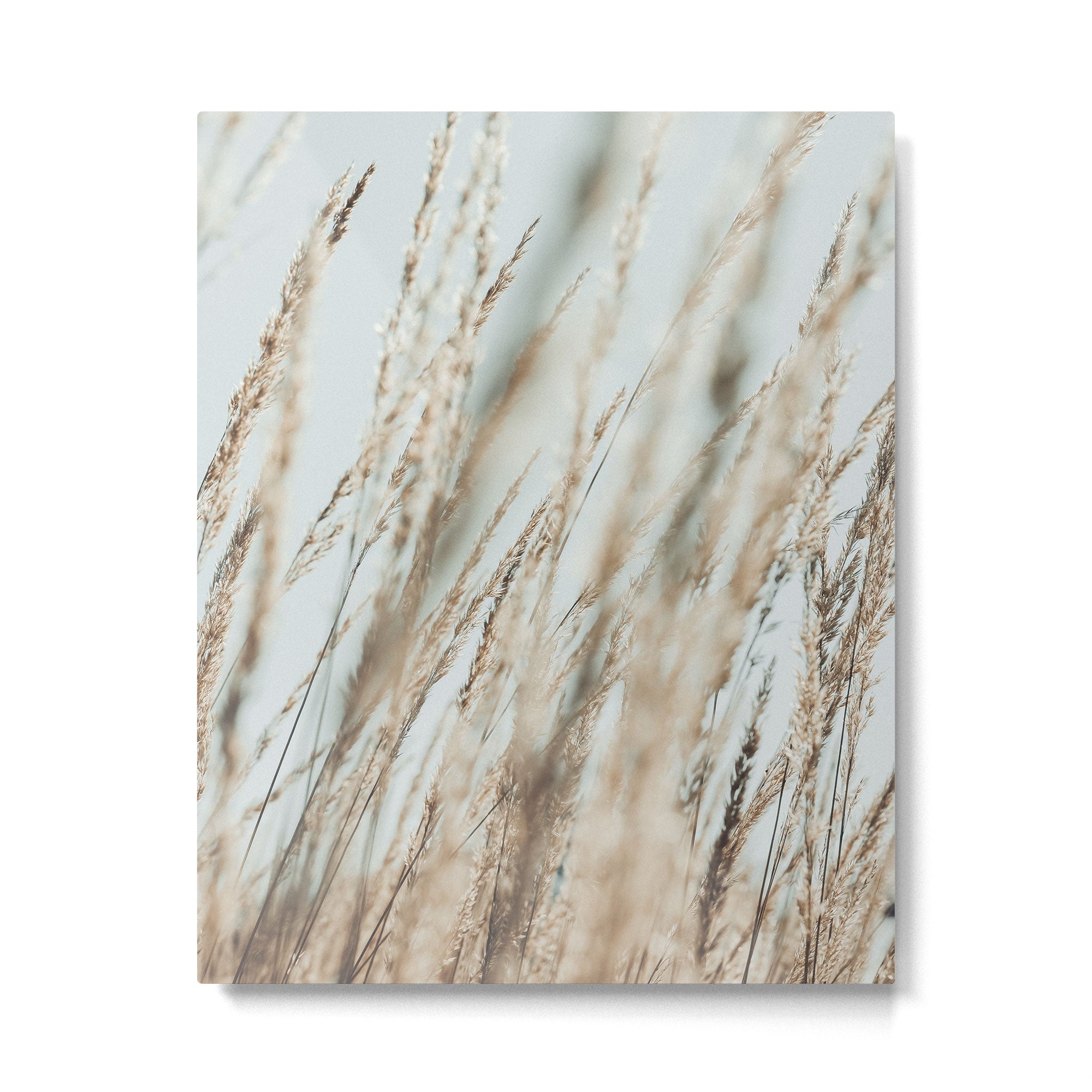 Wandering Through an Autumn Day x nature environmental photograph mint green blue Metal Print Gallery Image 4