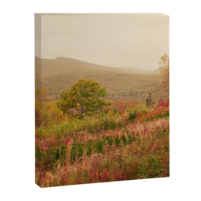 Wandering Through Autumn Canvas Print Gallery Image 1