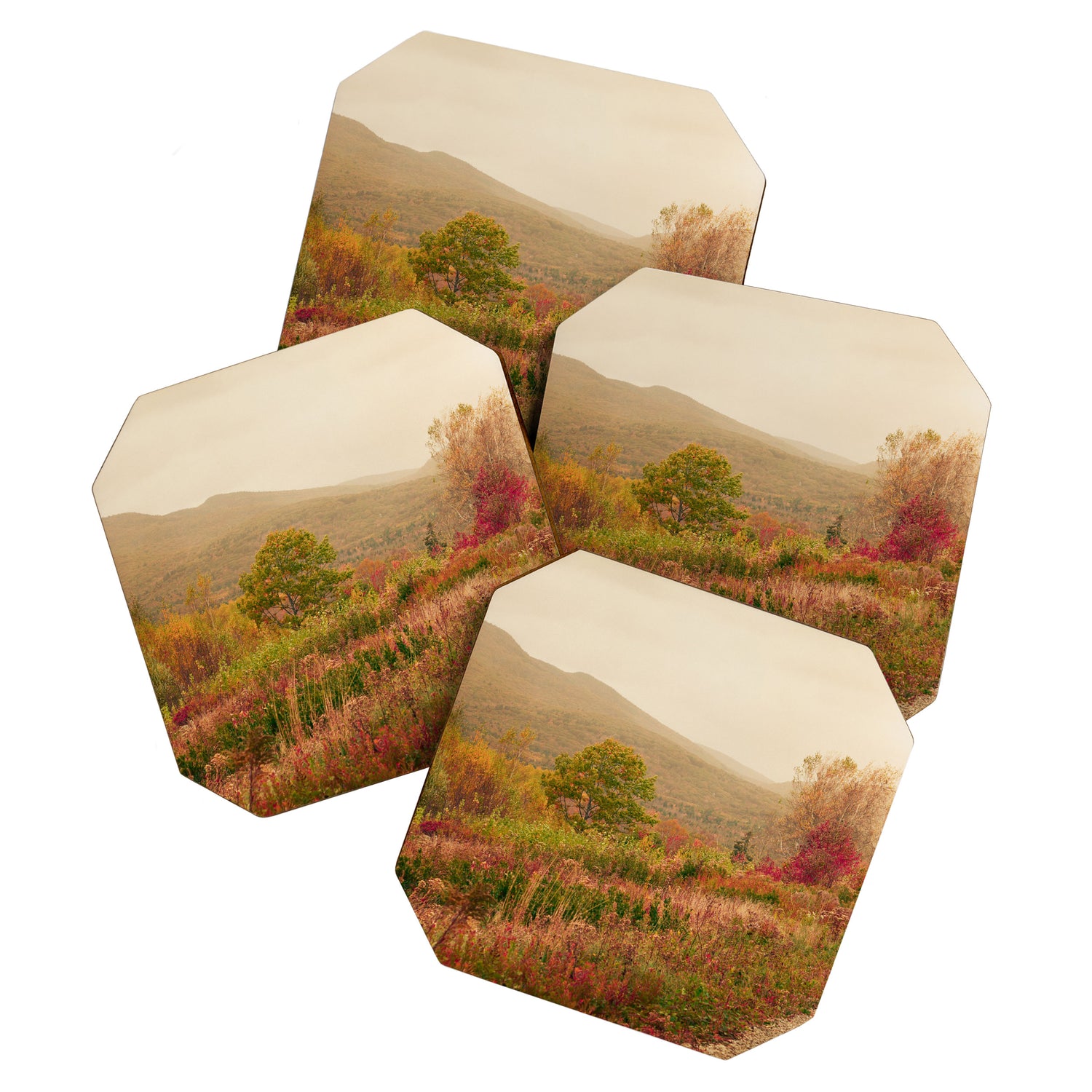 Wandering Through Autumn Coaster Gallery Image 1
