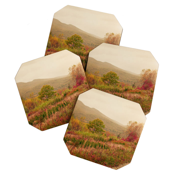 Wandering Through Autumn Coaster Gallery Image 1