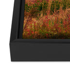 Wandering Through Autumn Framed Canvas Print Gallery Image 3