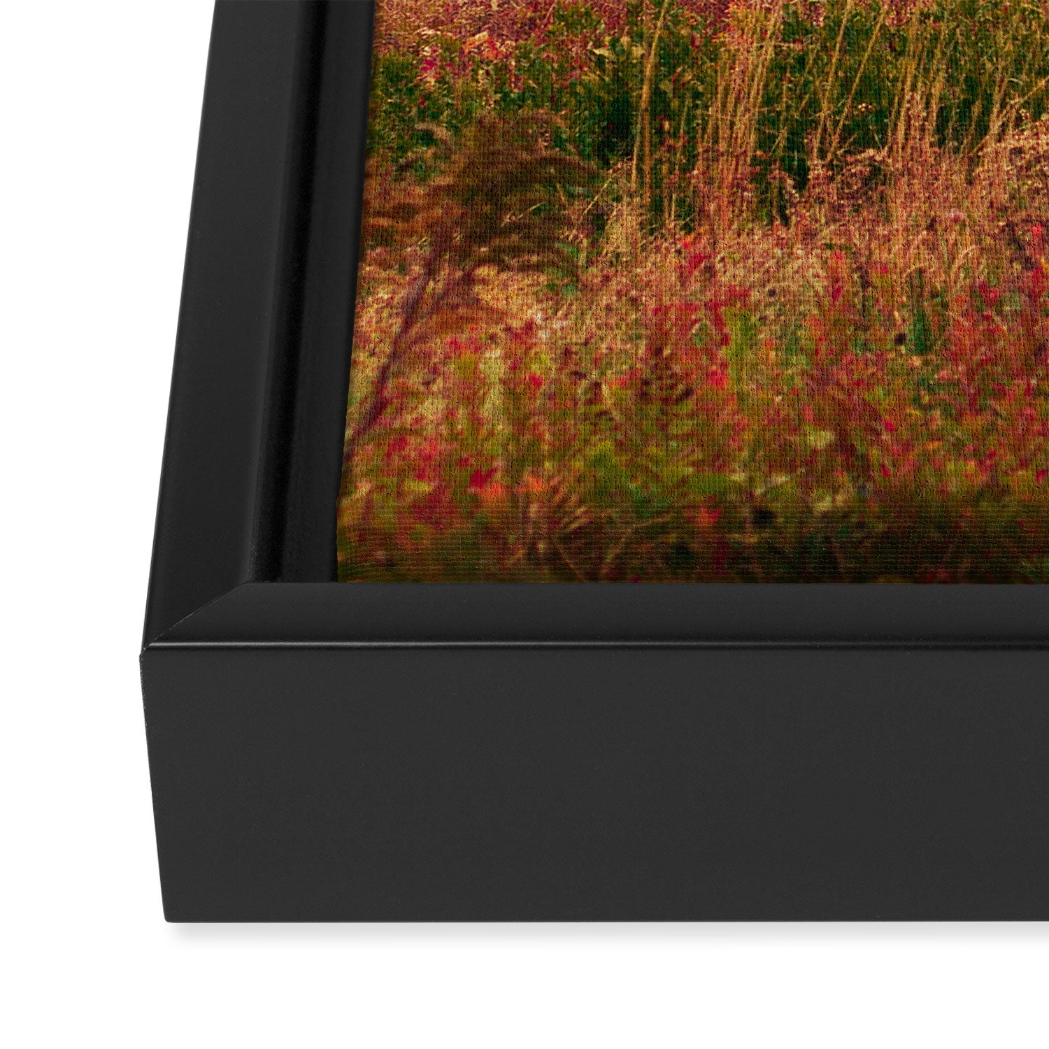 Wandering Through Autumn Framed Canvas Print Gallery Image 3