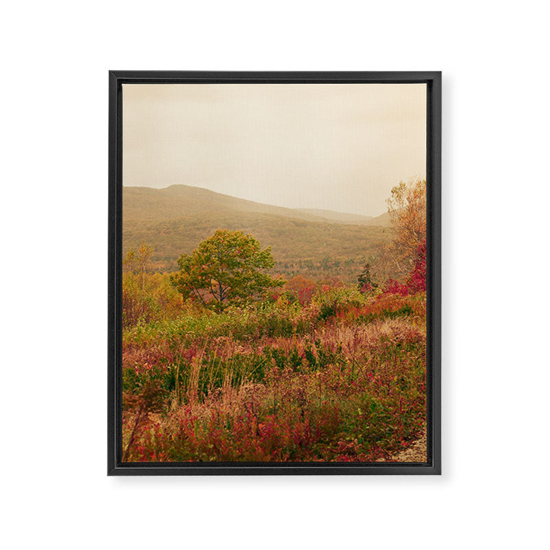 Wandering Through Autumn Framed Canvas Print Gallery Image 6