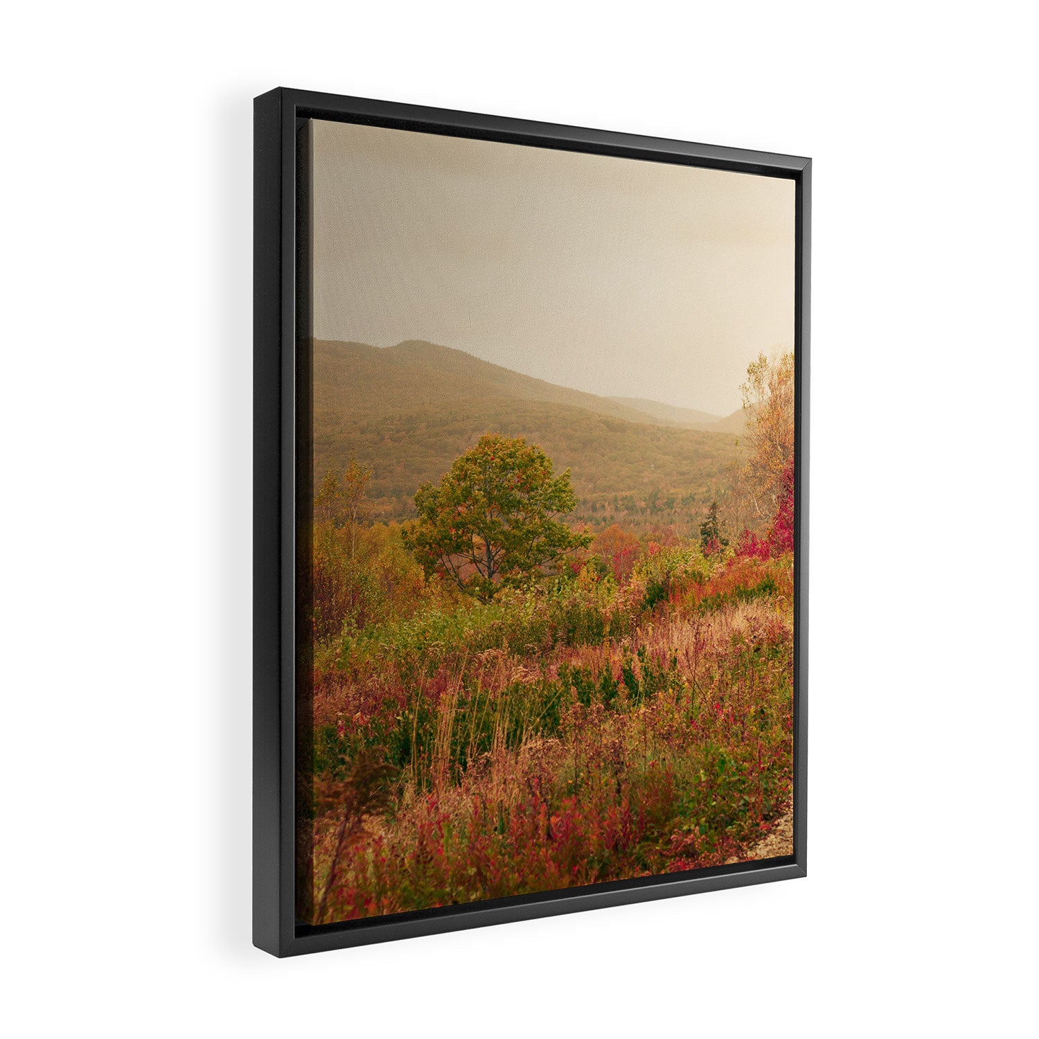 Wandering Through Autumn Framed Canvas Print Gallery Image 2