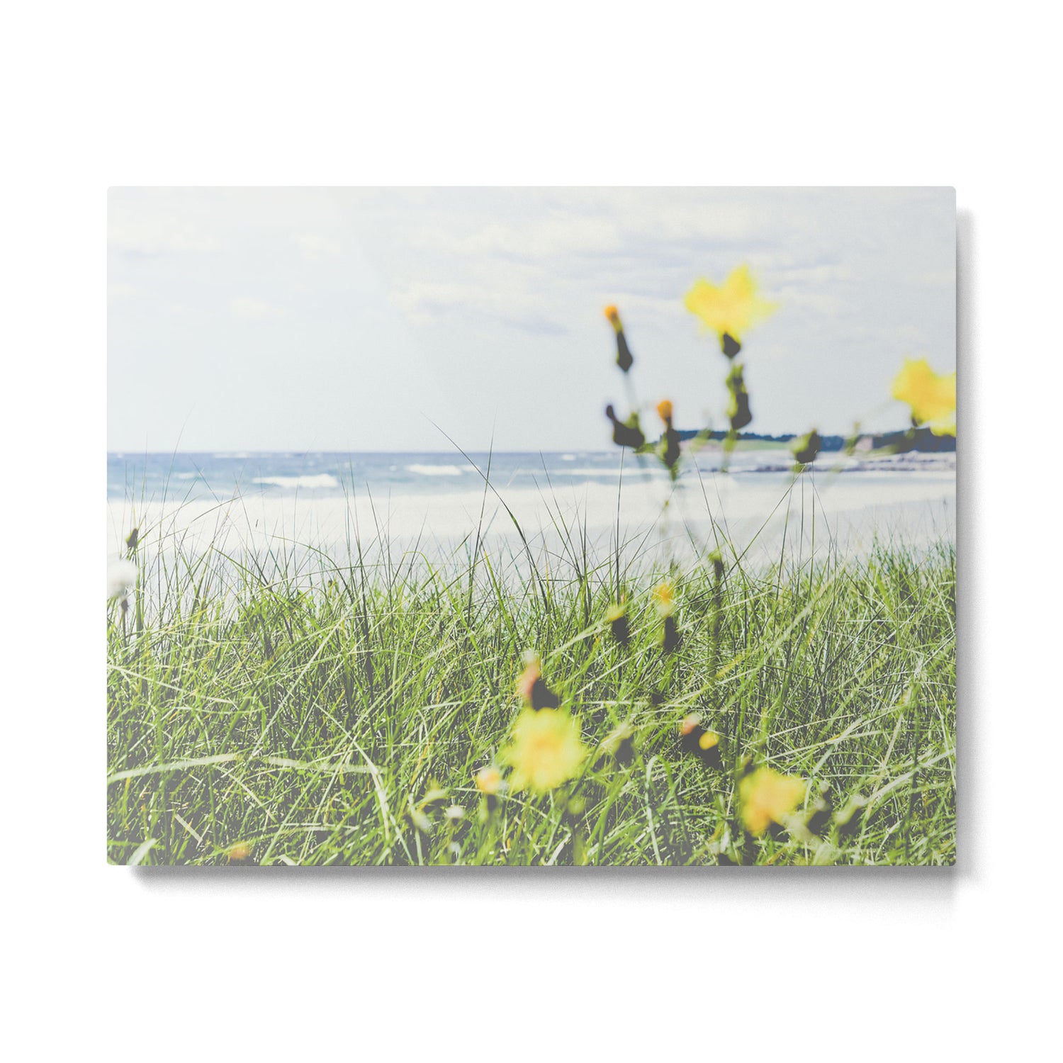 Water View Metal Print Gallery Image 4