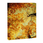 We Are Starlight, We Are Golden Canvas Print Gallery Image 8