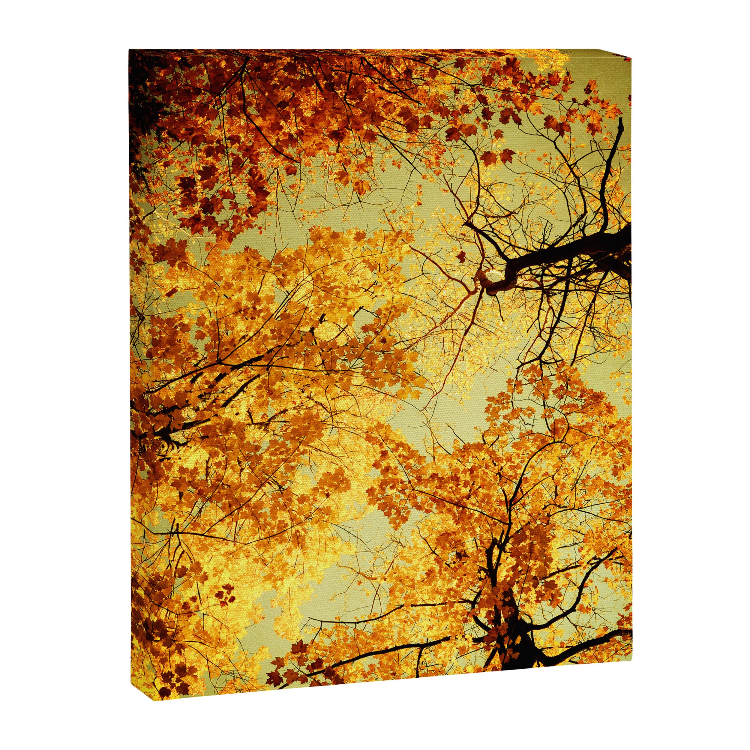We Are Starlight, We Are Golden Canvas Print Gallery Image 8
