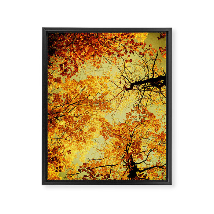 We Are Starlight, We Are Golden Framed Canvas Print Gallery Image 1