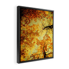 We Are Starlight, We Are Golden Framed Canvas Print Gallery Image 2
