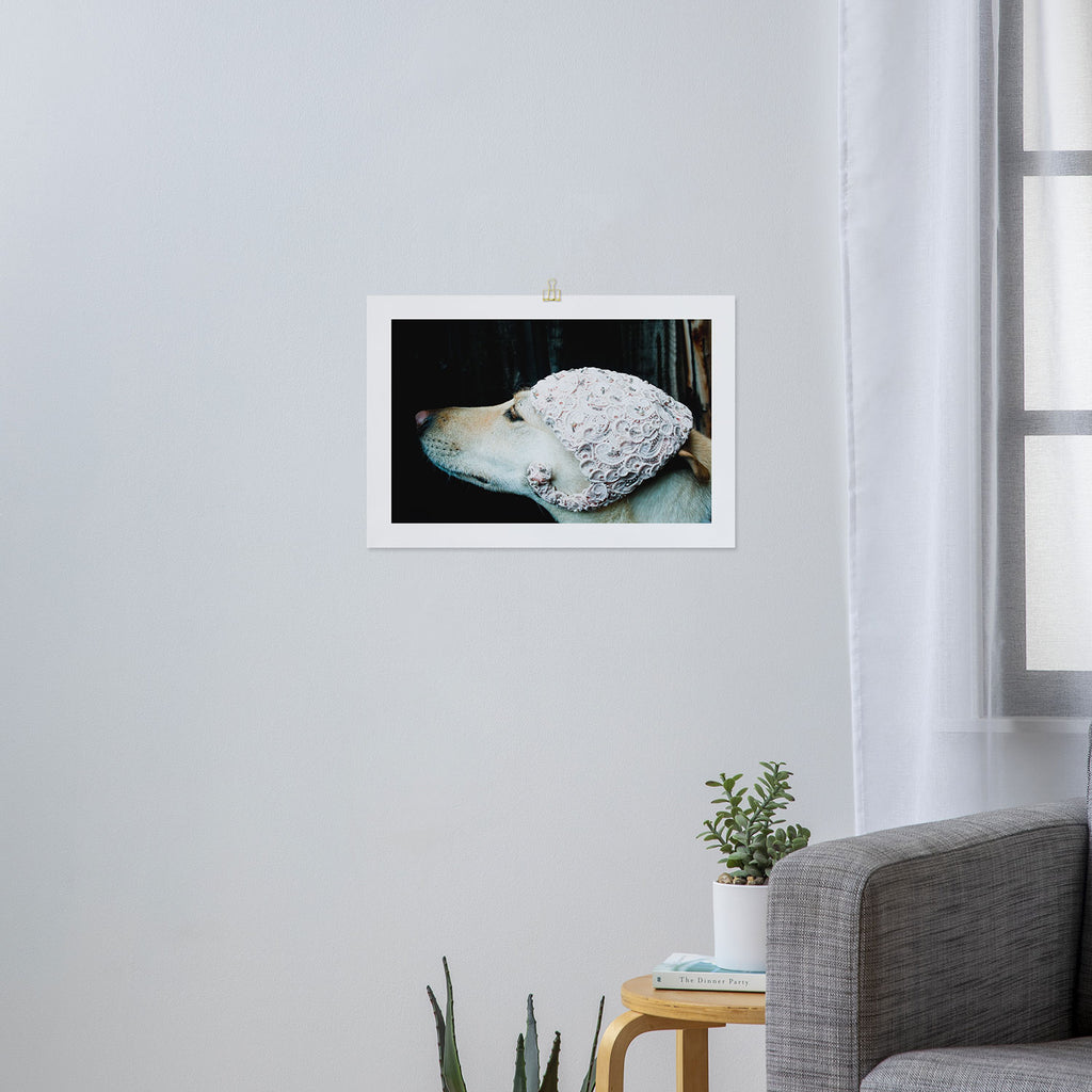 We're Not in Kansas Anymore Art Print Gallery Image 3