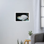 We're Not in Kansas Anymore Art Print Gallery Image 3