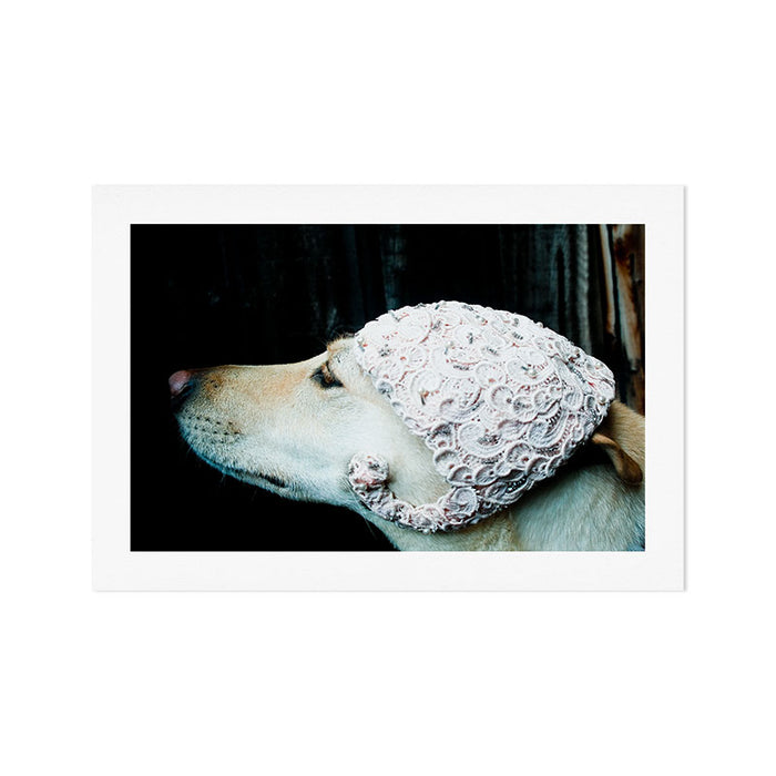 We're Not in Kansas Anymore Art Print Gallery Image 1