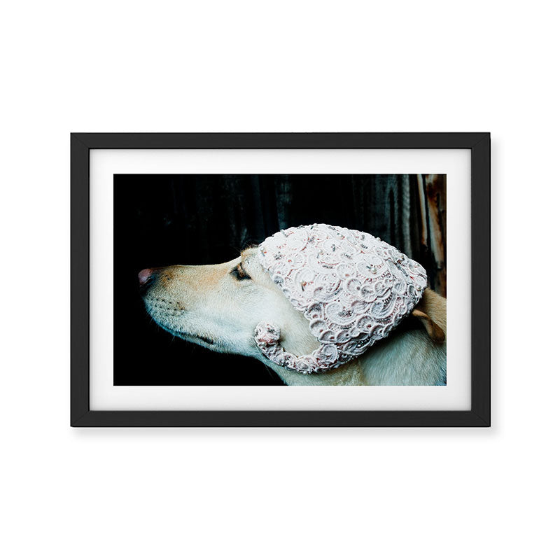 We're Not in Kansas Anymore Framed Art Print Gallery Image 2