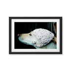 We're Not in Kansas Anymore Framed Art Print Gallery Image 2