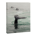 Whale Tail - ocean humpback whale photograph Canvas Print Gallery Image 6