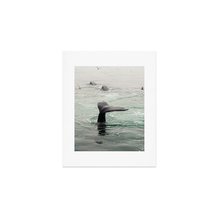 Whale Tail - ocean humpback whale photograph Art Print Gallery Image 1