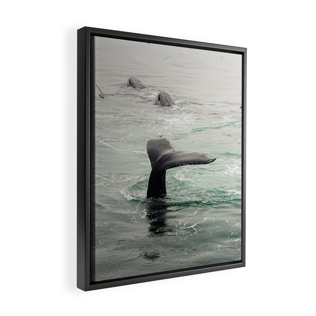 Whale Tail - ocean humpback whale photograph Framed Canvas Print Gallery Image 2