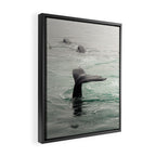 Whale Tail - ocean humpback whale photograph Framed Canvas Print Gallery Image 2