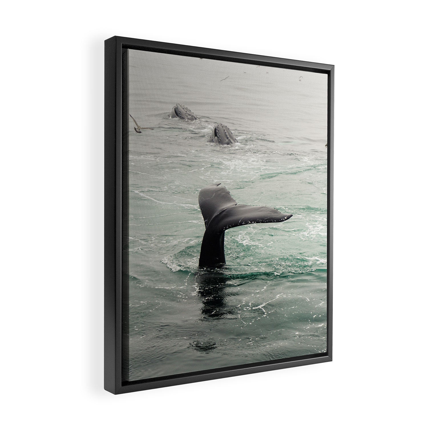 Whale Tail - ocean humpback whale photograph Framed Canvas Print Gallery Image 2