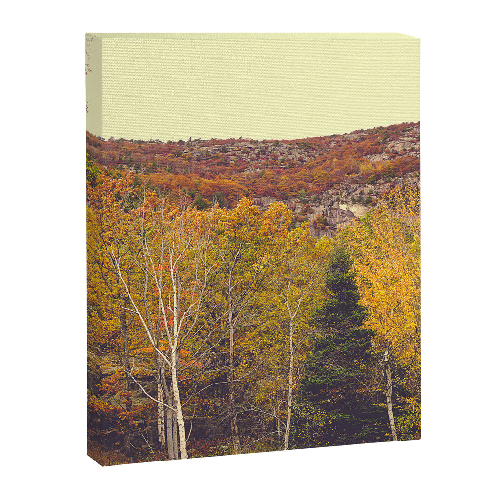 When Autumn Arrived Canvas Print Gallery Image 6