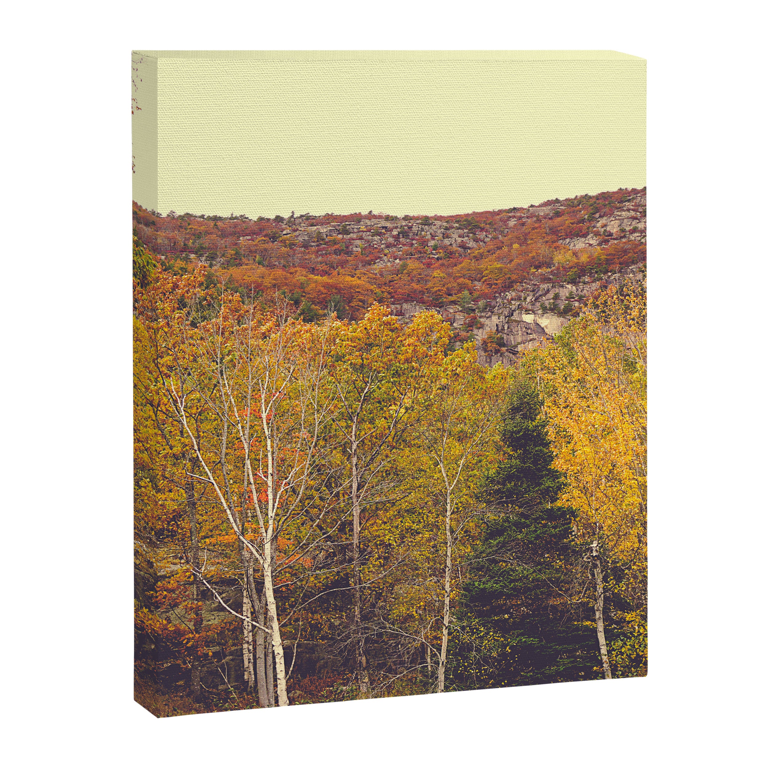 When Autumn Arrived Canvas Print Gallery Image 6