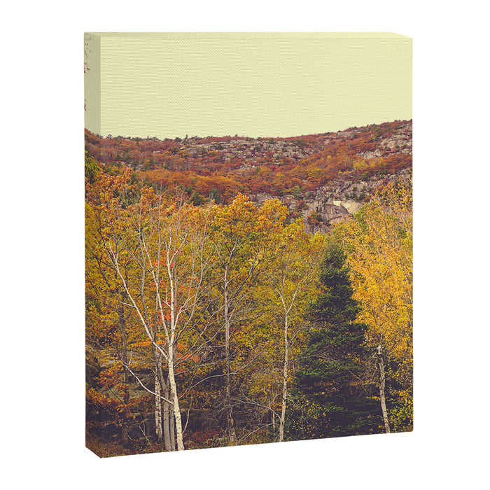 When Autumn Arrived Canvas Print Gallery Image 1