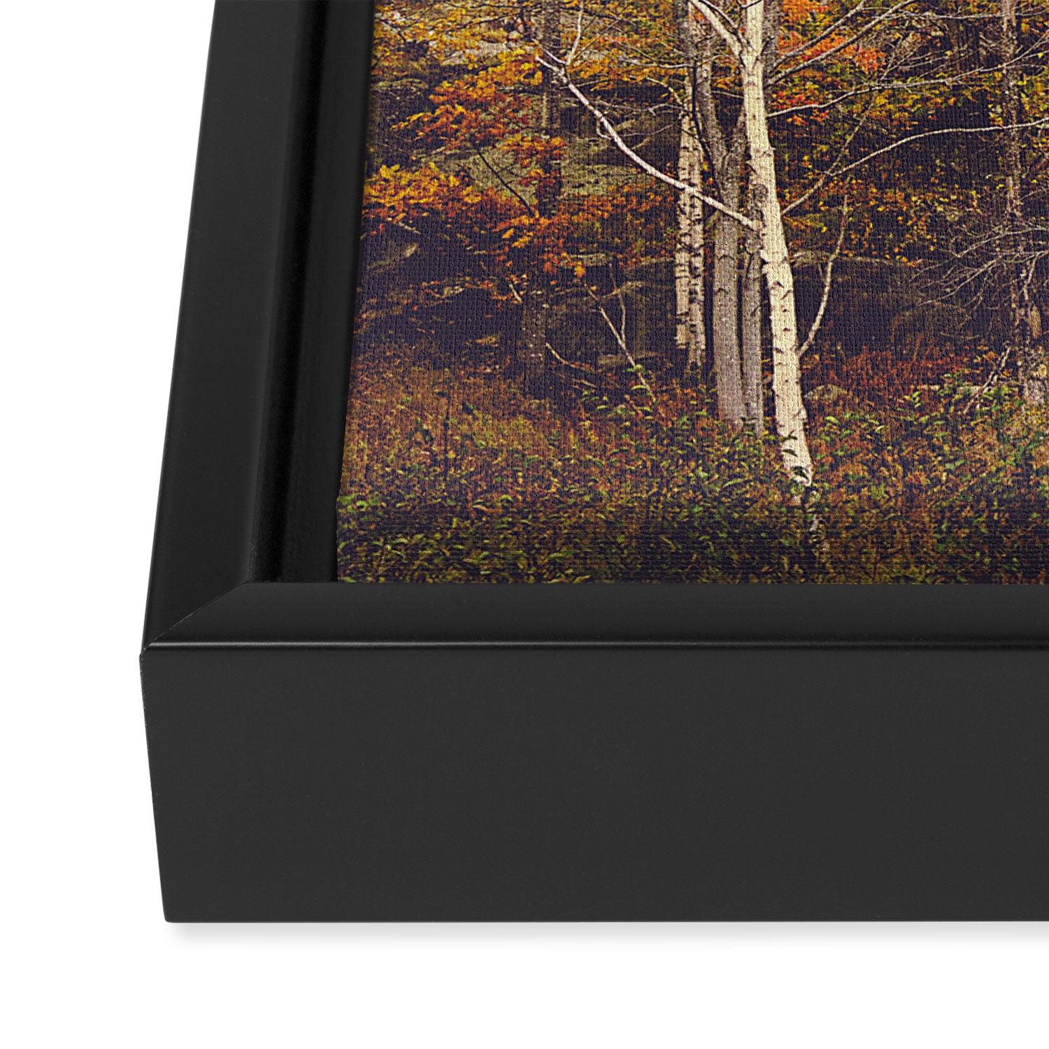 When Autumn Arrived Framed Canvas Print Gallery Image 3