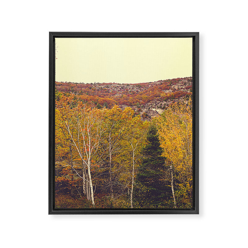 When Autumn Arrived Framed Canvas Print Gallery Image 6
