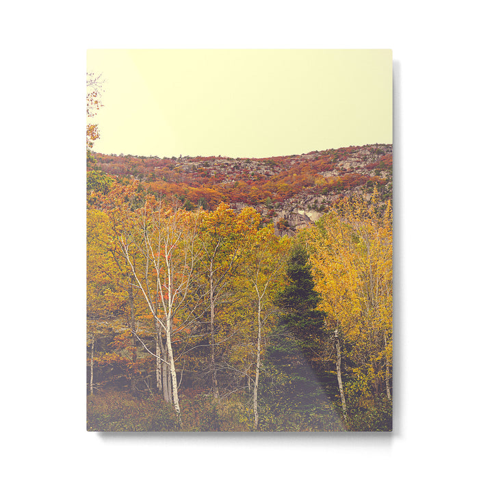 When Autumn Arrived Metal Print Gallery Image 1