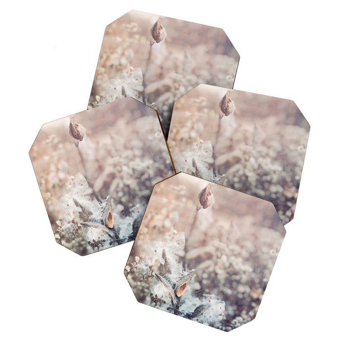 Whisperings of Nature Coaster Gallery Image 1