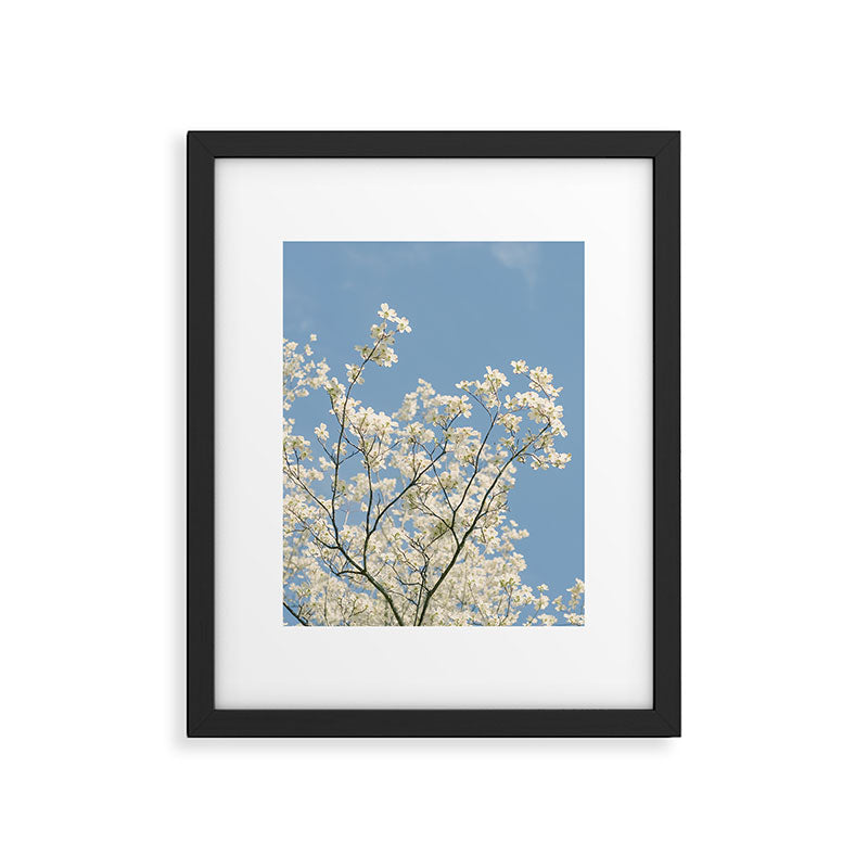 White Dogwood Flowers - spring flower photograph Framed Art Print Gallery Image 5
