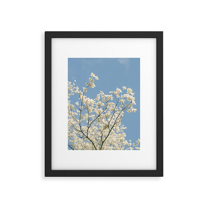 White Dogwood Flowers - spring flower photograph Framed Art Print Gallery Image 1