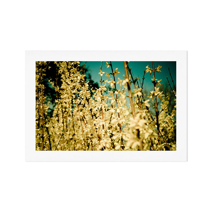 Wild Abandon Art Print Gallery Image 1